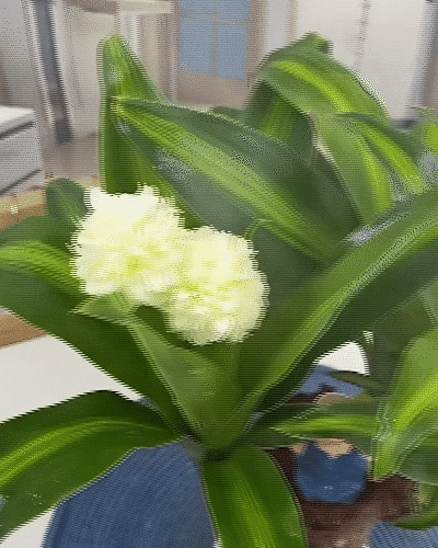 FortuLeaf Mini Decor