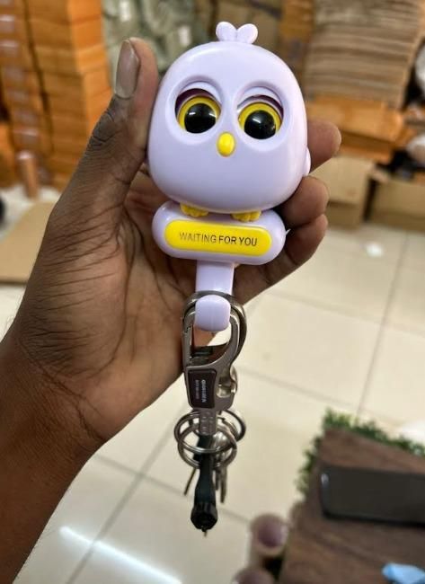 NightOwl Magnetic Key Nest