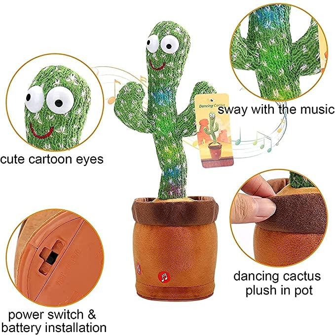 Cactus Groove Buddy