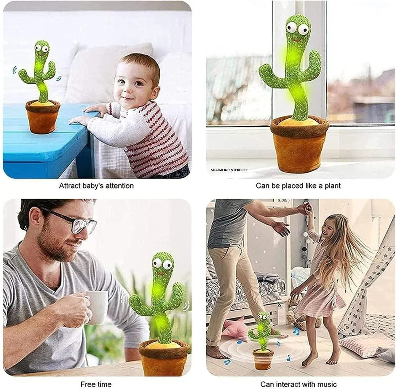 Cactus Groove Buddy