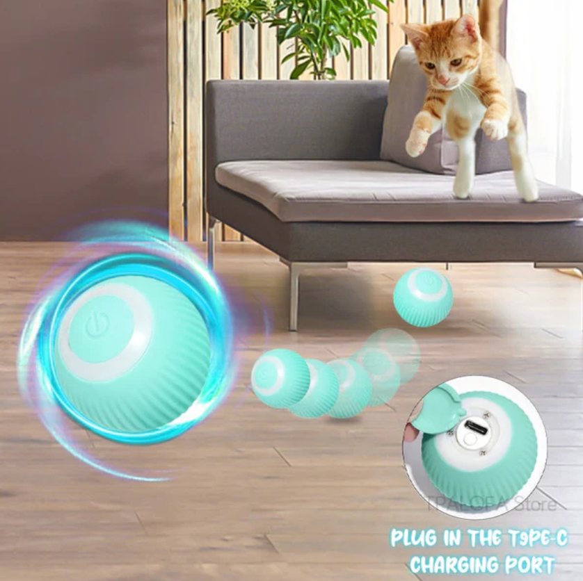 PurrChase | Interactive Rolling Ball Toy