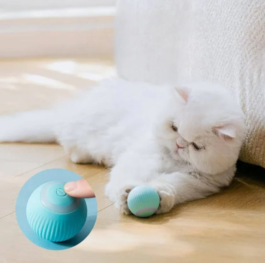 PurrChase | Interactive Rolling Ball Toy